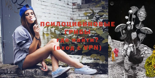 спайс Алексин