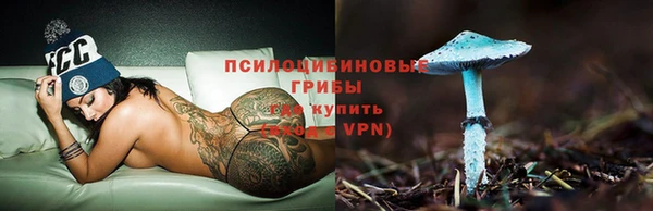 спайс Алексин