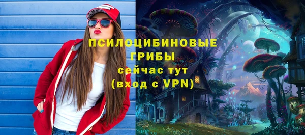бошки Алзамай