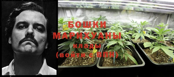 бошки Алзамай