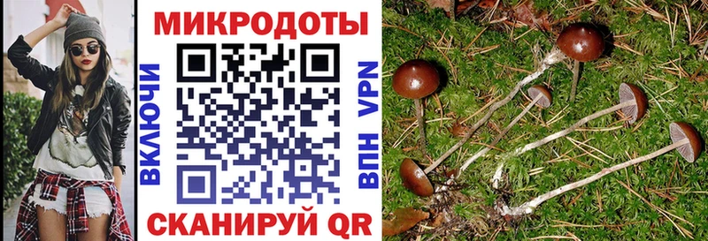 Псилоцибиновые грибы Psilocybe  Артёмовск 
